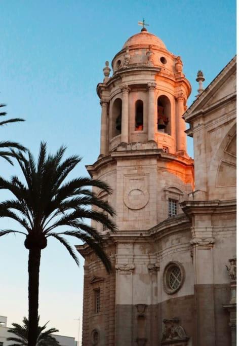 Papallona Grupo Ac Gestion Cádiz